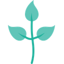 پیش‌نمایش فایل ecology-environment-leaf-plant-nature از پک بوم‌شناسی و محیط‌زیست