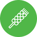 پیش‌نمایش فایل crps-farm-agriculture-food-wheat-flour-field-2 از پک کشاورزی و مزرعه‌داری