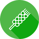 پیش‌نمایش فایل crps-farm-agriculture-food-wheat-flour-field-5 از پک کشاورزی و مزرعه‌داری
