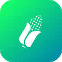پیش‌نمایش فایل corn-vegetable-farm-field-healthy-nutritious-maize-13 از پک کشاورزی و مزرعه‌داری