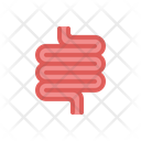 پیش‌نمایش فایل intestine-anatomy-internal-organ-health-medical-care از پک پزشکی
