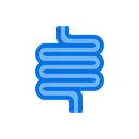 پیش‌نمایش فایل intestine-anatomy-internal-organ-health-medical-care-6 از پک پزشکی