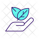 پیش‌نمایش فایل hand-with-leaves-5157049 از پک ابرروندها