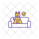 پیش‌نمایش فایل dog-sitting-on-couch-5296703 از پک سلامت حیوانات خانگی