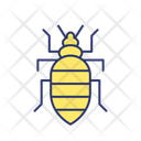 پیش‌نمایش فایل bed-bug-habits-10257603 از پک مدیریت یکپارچه آفات