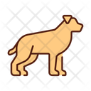 پیش‌نمایش فایل dog-11846326 از پک متفرقه