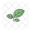 پیش‌نمایش فایل sprout-green-4086183 از پک بخش‌های تجارت الکترونیک