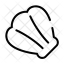 پیش‌نمایش فایل shell-11623617 از پک تابستان