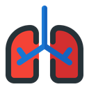 پیش‌نمایش فایل lungs-1591342 از پک پزشکی