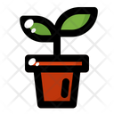 پیش‌نمایش فایل flower-pot-1704678 از پک بهار