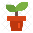 پیش‌نمایش فایل flower-pot-1704652 از پک بهار