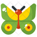 پیش‌نمایش فایل butterfly-1703506 از پک بهار