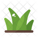 پیش‌نمایش فایل grass-1703499 از پک بهار