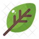 پیش‌نمایش فایل leaf-1703495 از پک بهار