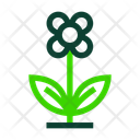 پیش‌نمایش فایل blooming-flower-5142550 از پک طبیعت