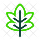 پیش‌نمایش فایل maple-leafe-5142523 از پک طبیعت