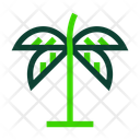 پیش‌نمایش فایل palm-tree-5142525 از پک طبیعت