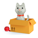 پیش‌نمایش فایل gray-cat-box-6379720 از پک حیوانات خانگی کوچک