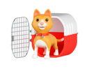 پیش‌نمایش فایل orange-cat-cage-10460034 از پک حیوانات خانگی کوچک