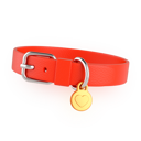 پیش‌نمایش فایل pet-belt-3690197 از پک حیوانات خانگی کوچک