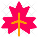 پیش‌نمایش فایل maple-leaf-6764549 از پک پاییز