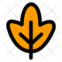 پیش‌نمایش فایل autumn-leaf-6764168 از پک پاییز