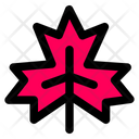 پیش‌نمایش فایل maple-leaf-6764193 از پک پاییز
