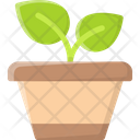 پیش‌نمایش فایل plant-pot-7331421 از پک بوم شناسی