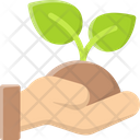پیش‌نمایش فایل sprout-7331434 از پک بوم شناسی