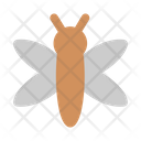 پیش‌نمایش فایل dragonfly-7363610 از پک فصل بهار