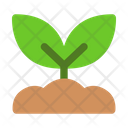 پیش‌نمایش فایل sprout-7363620 از پک فصل بهار