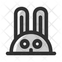 پیش‌نمایش فایل rabbit-7362998 از پک فصل بهار