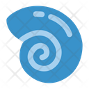 پیش‌نمایش فایل shell-7455671 از پک دریا