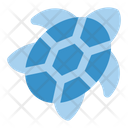 پیش‌نمایش فایل turtle-7455678 از پک دریا
