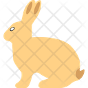 پیش‌نمایش فایل bunny-8173679 از پک حیوان