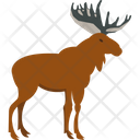 پیش‌نمایش فایل moose-8173674 از پک حیوان