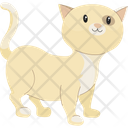 پیش‌نمایش فایل cat-8143485 از پک حیوان