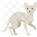 پیش‌نمایش فایل cat-8143486 از پک حیوان