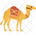 پیش‌نمایش فایل camel-10101703 از پک رمضان کریم