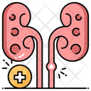 پیش‌نمایش فایل kidney-stone-11585136 از پک روز جهانی سلامت