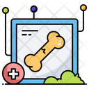 پیش‌نمایش فایل broken-bone-11747596 از پک سلامت و تناسب اندام
