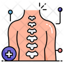 پیش‌نمایش فایل human-spine-11747603 از پک سلامت و تناسب اندام