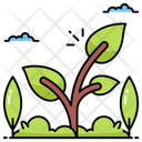 پیش‌نمایش فایل sprout-12410858 از پک کشاورزی و جنگلداری