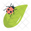 پیش‌نمایش فایل ladybug-12793912 از پک کشاورزی و باغبانی