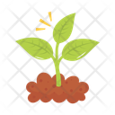 پیش‌نمایش فایل plants-grow-12793910 از پک کشاورزی و باغبانی