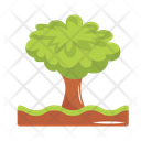 پیش‌نمایش فایل tree-12793933 از پک کشاورزی و باغبانی