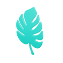 پیش‌نمایش فایل palm-leaf-7566940 از پک تابستان