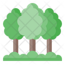 پیش‌نمایش فایل forest-5759078 از پک کمپینگ