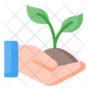 آیکن