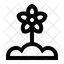 پیش‌نمایش فایل flower-1475183 از پک بهار